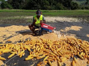 Family agribusiness aims to play a big part in feed import reduction