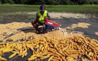Family agribusiness aims to play a big part in feed import reduction