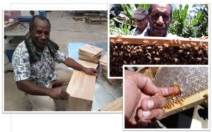 Old in the business: The PNG honey experts who are replacing imports