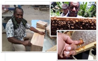 Old in the business: The PNG honey experts who are replacing imports