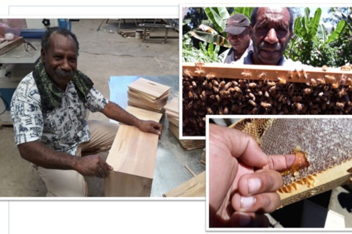 Old in the business: The PNG honey experts who are replacing imports