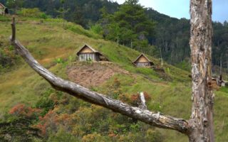 We had systems that worked. Why did we abandon them?