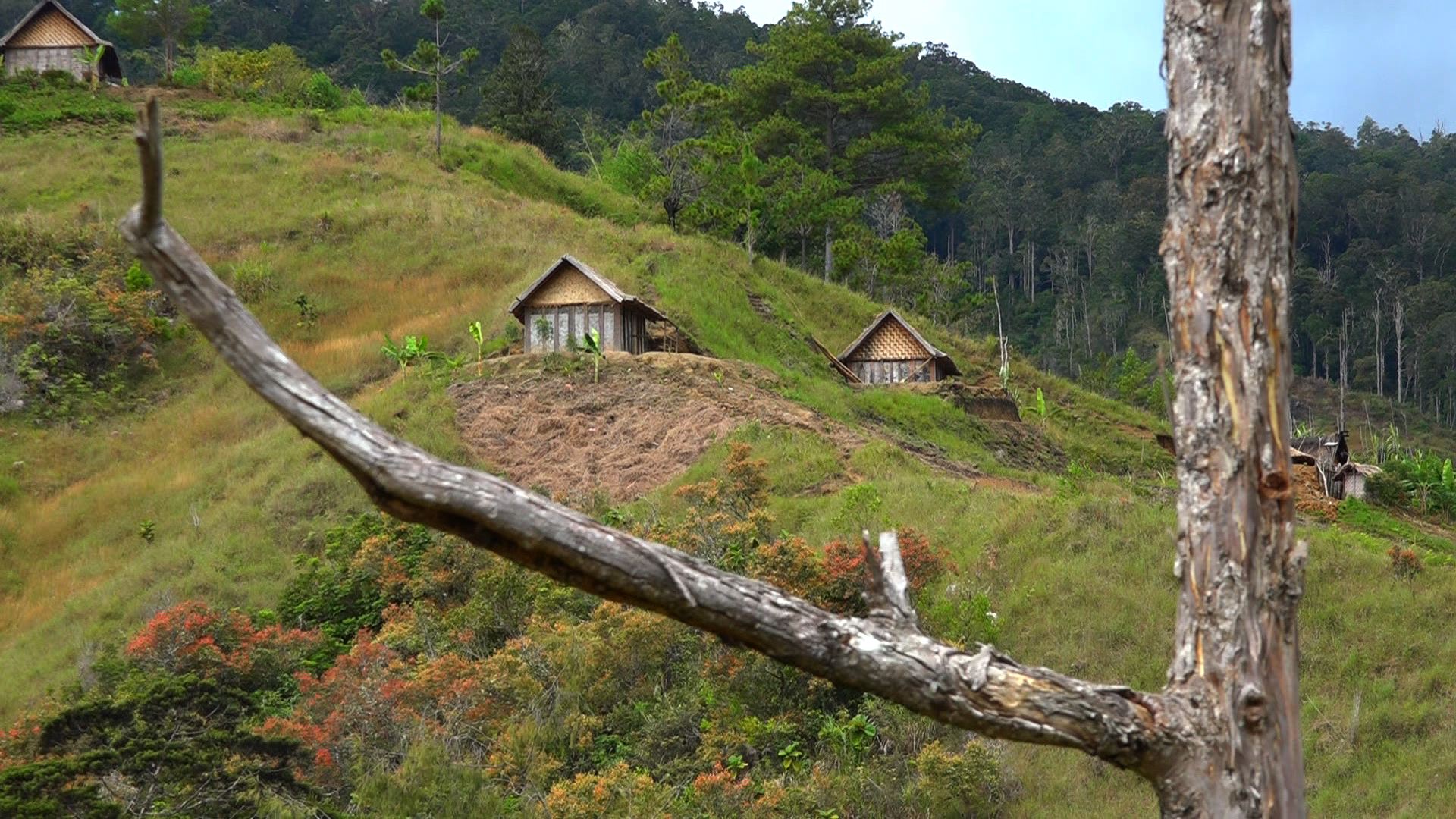 We had systems that worked. Why did we&hellip;