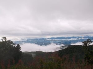 Greater expectations – a tale of “failure” by Nickson Piakal