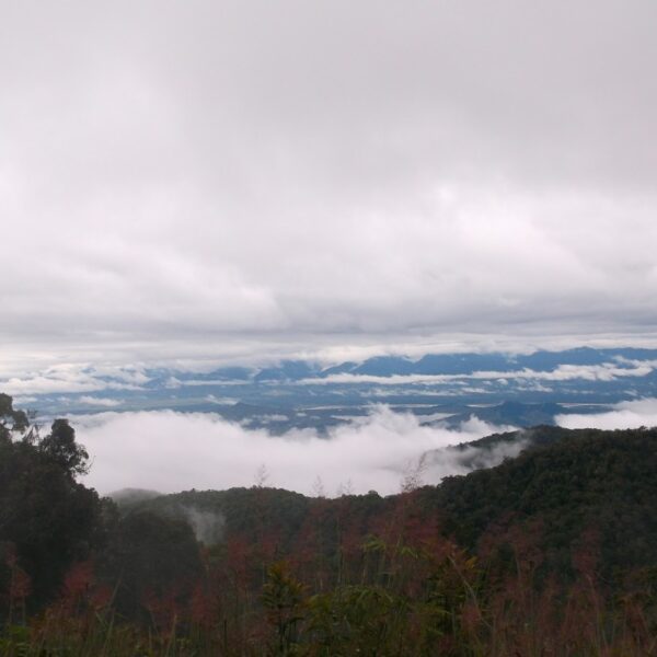 Greater expectations – a tale of “failure” by&hellip;