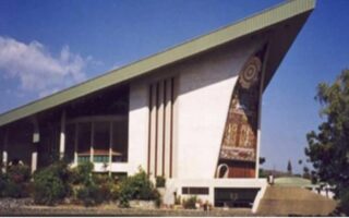 Ineffective dual roles of MPs and why it matters