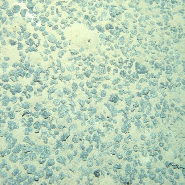 Debunking deep sea mining myths