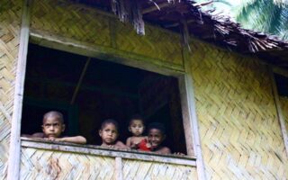 NRI: We NEED to fix electoral boundaries before 2027 & we need the 2024 Census results NOW!