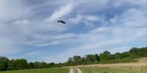 How palm-size drones are helping farmers make data-driven decisions