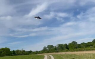 How palm-size drones are helping farmers make data-driven decisions