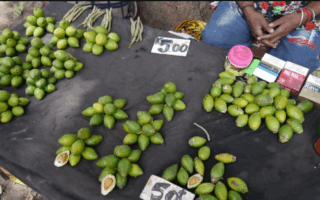 Deadly trinity: Buai, tobacco and alcohol, biggest causes of cancer in PNG