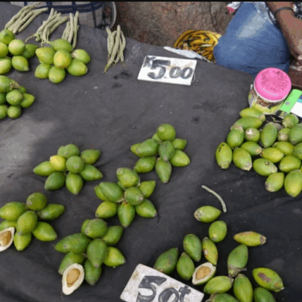 Deadly trinity: Buai, tobacco and alcohol, biggest causes&hellip;