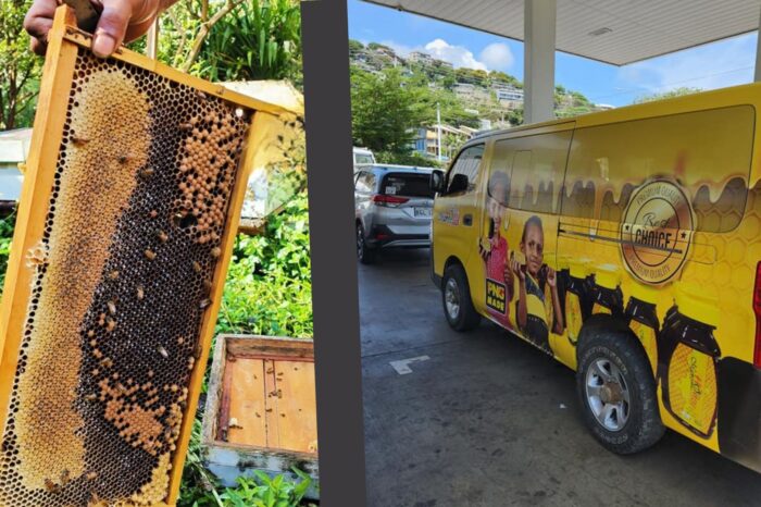 Maoro Honey's Journey, Bringing Sweetness to Papua New Guinea | Easten Tato